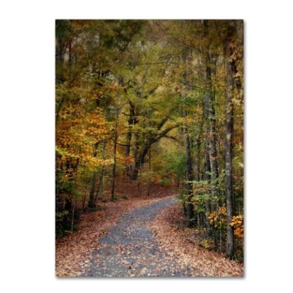 Jai Johnson 'Autumn Passage 5' Canvas Art, 18x24, Trademark Fine Art, Mfr#: ALI14129-C1824GG